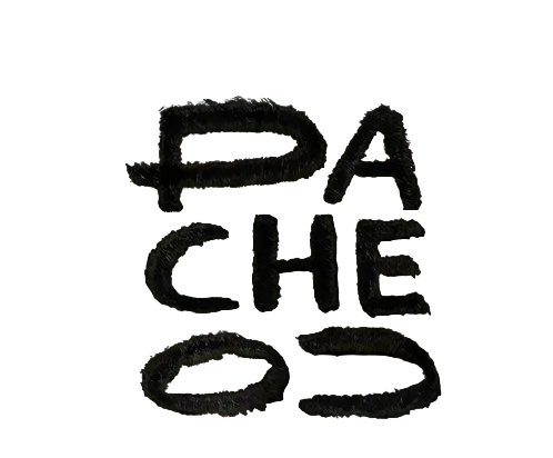 Pacheco.here